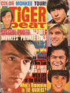Magazine Tiger Beat 11 67.GIF