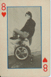 Playing Card 8H pw.GIF (68112 bytes)